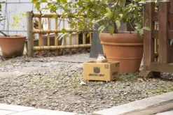 MEGAHOUSE Gaara Nyanto! The Big Nyaruto Series Naruto Shippuden Figure 21 MEGAHOUSE Gaara Nyanto! The Big Nyaruto Series Naruto Shippuden Figure -Anime peripheral Sales 4535123830624 figure gaara nyanto the big nyaruto series naruto shippuden alth