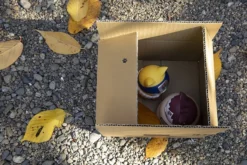 MEGAHOUSE Gaara Nyanto! The Big Nyaruto Series Naruto Shippuden Figure 22 MEGAHOUSE Gaara Nyanto! The Big Nyaruto Series Naruto Shippuden Figure -Anime peripheral Sales 4535123830624 figure gaara nyanto the big nyaruto series naruto shippuden alti