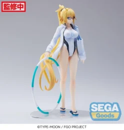SEGA Archer/Jeanne D'Arc Swimwear Ver Fate/Grand Order FIGURIZM Prize Figure 11 SEGA Archer/Jeanne D'Arc Swimwear Ver Fate/Grand Order FIGURIZM Prize Figure -Anime peripheral Sales 4580779502166 figure archer jeanne d arc swimwear ver fate grand order figurizm prize altc